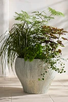 Barnacle Fiber Concrete Curved Jar Planter