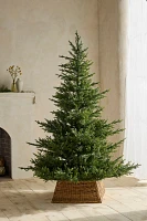 Faux Twinkling Pre-Lit Norway Spruce