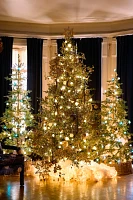 Faux Twinkling Pre-Lit Norway Spruce