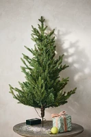 Faux Twinkling Pre-Lit LED Norway Spruce Stake, 3’