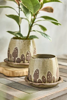 Mushroom Ceramic Pot + Saucer Set