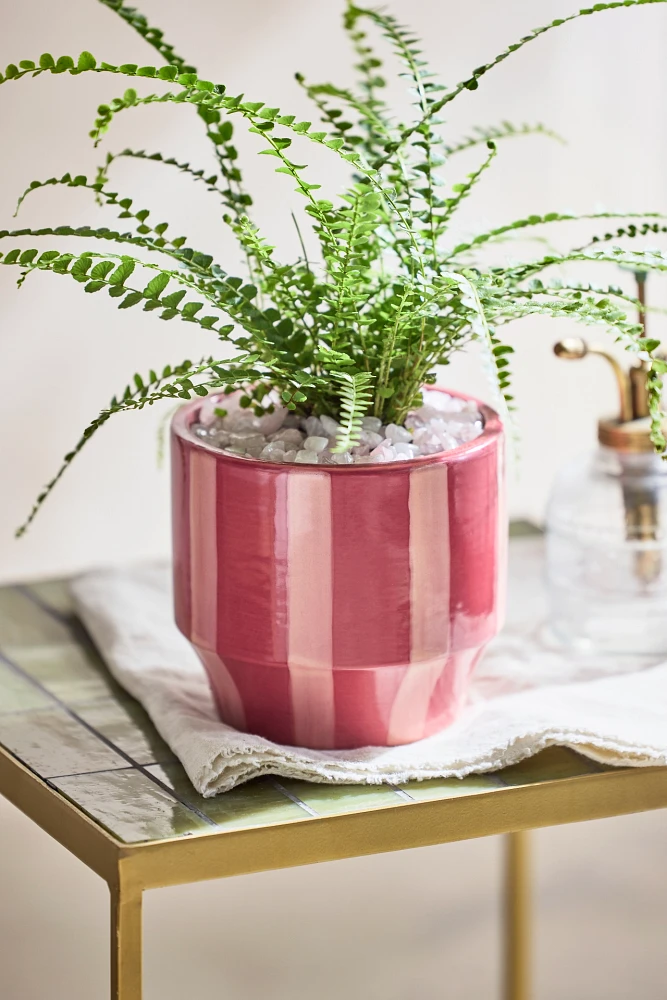 Vertical Stripe Glazed Ceramic Pot