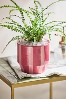 Vertical Stripe Glazed Ceramic Pot