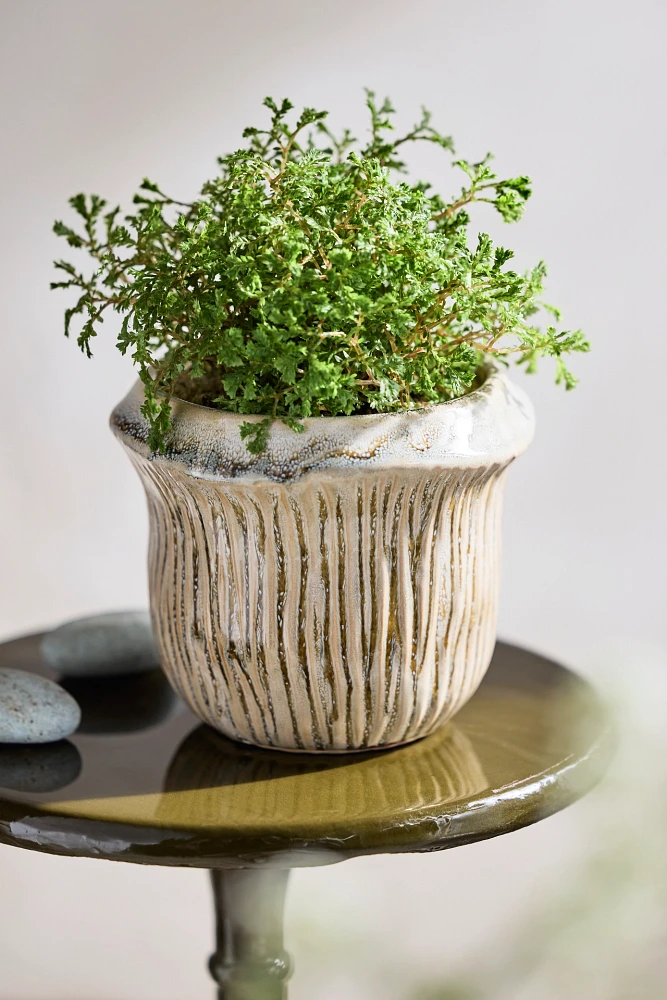 Catona Ridged Ceramic Pot