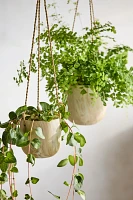 Hanging Marbled Ceramic Pot