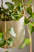 Hanging Marbled Ceramic Pot