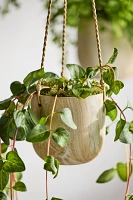 Hanging Marbled Ceramic Pot