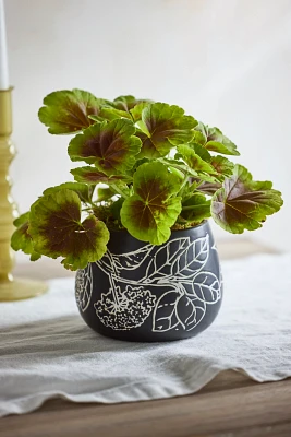 Umbel Ceramic Planter