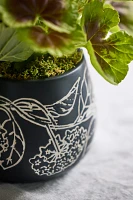 Umbel Ceramic Planter