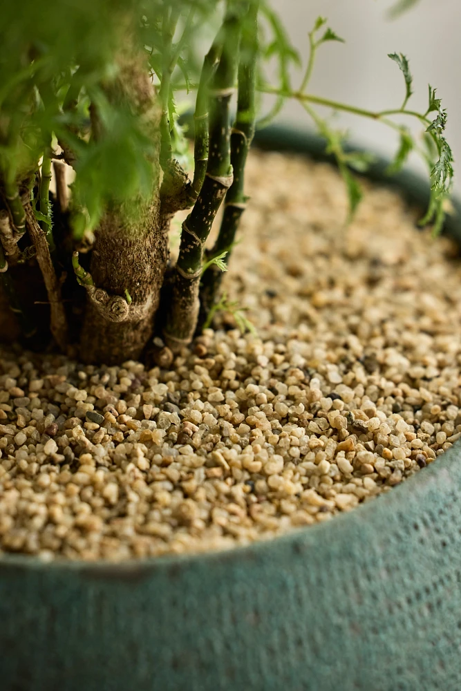 Natural Sand Toppers