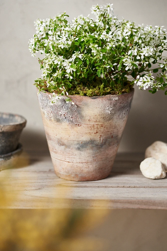 Weathered Terracotta Taper Planter