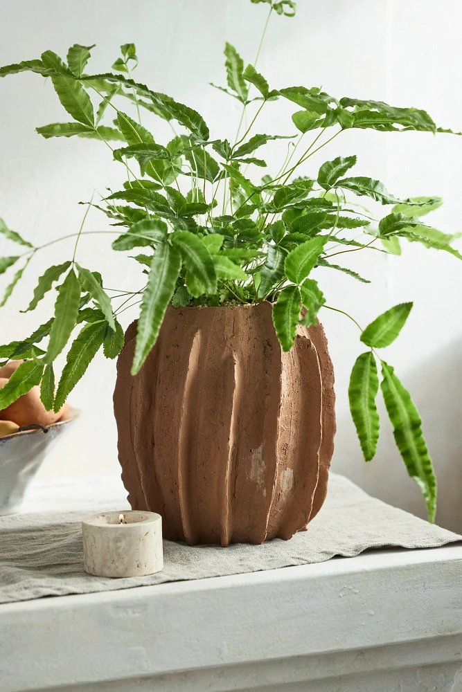 Urchin Terracotta Planter