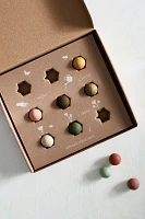 Seed Bomb Gift Set