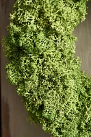 Reindeer Moss Circlet Wreath