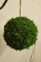 Hanging Preserved Reindeer Moss Sphere