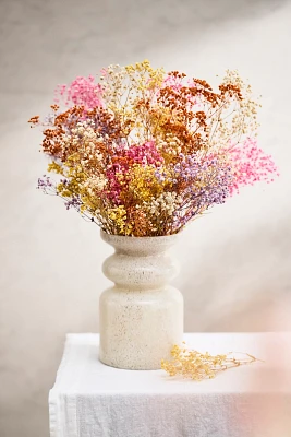 Dried Rainbow Gypsophila Bunch