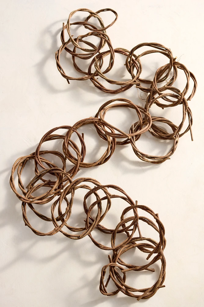 Vine Rings Garland