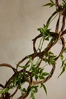 Vine Rings Garland