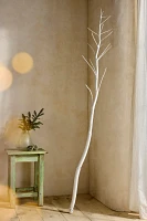 Dried White Ferula Branch