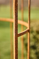 Aged Steel Garden Arch