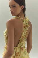 BHLDN Aura Sleeveless Halter Plunge 3D Floral Organza Maxi Dress