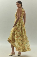 BHLDN Aura Sleeveless Halter Plunge 3D Floral Organza Maxi Dress