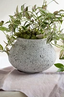 Pumice Jar Planter