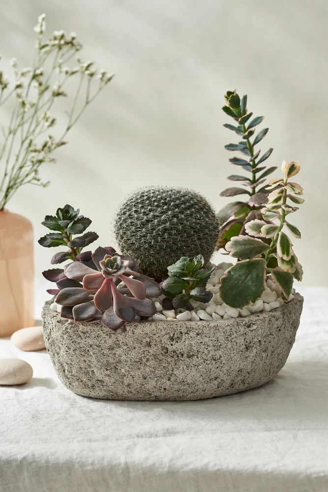 Pumice Boat Planter