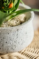 Pumice Pinched Rim Planter