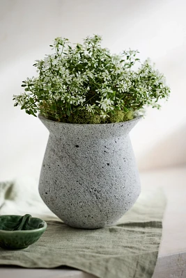 Pumice Egg Planter