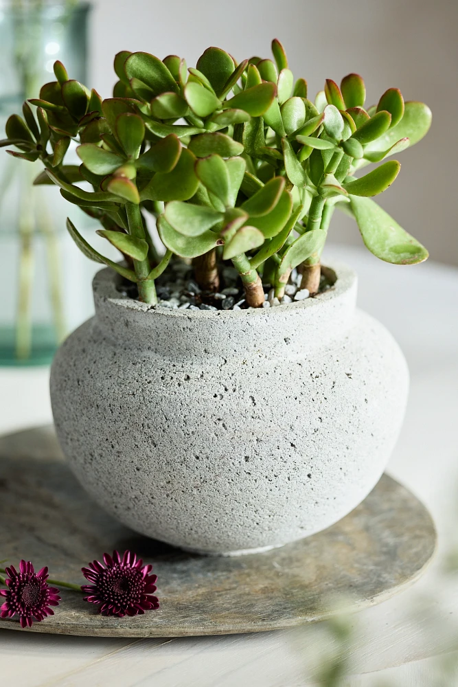 Pumice Round Jar Planter