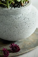 Pumice Round Jar Planter