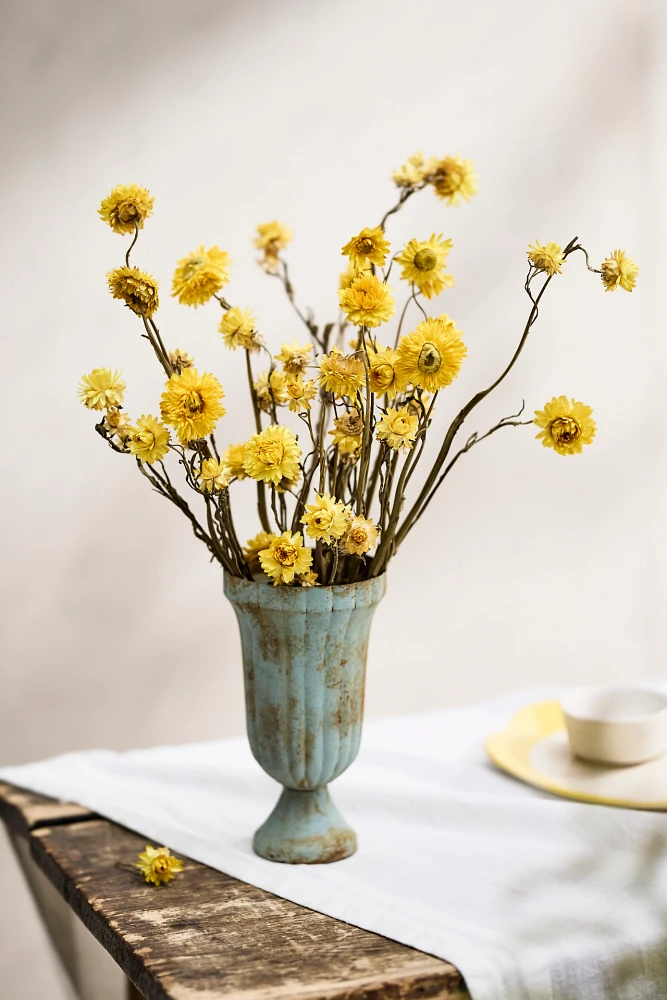 Dried Strawflower Bunch