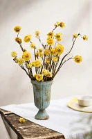 Dried Strawflower Bunch