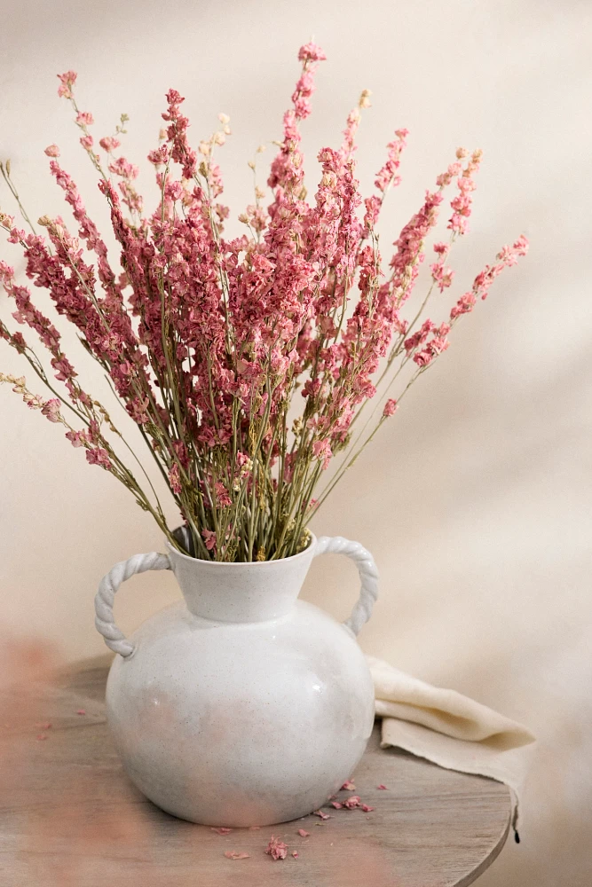 Dried Larkspur Bunch