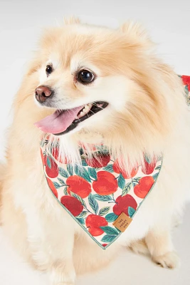 The Foggy Dog Pet Bandana