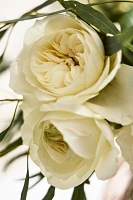 Garden Rose Bouquet, 12 White Stems  