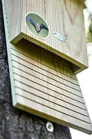 Wooden Bat House