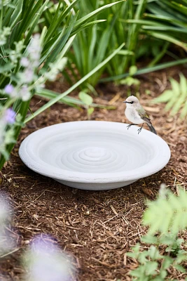 Ceramic Basin Bird Bath