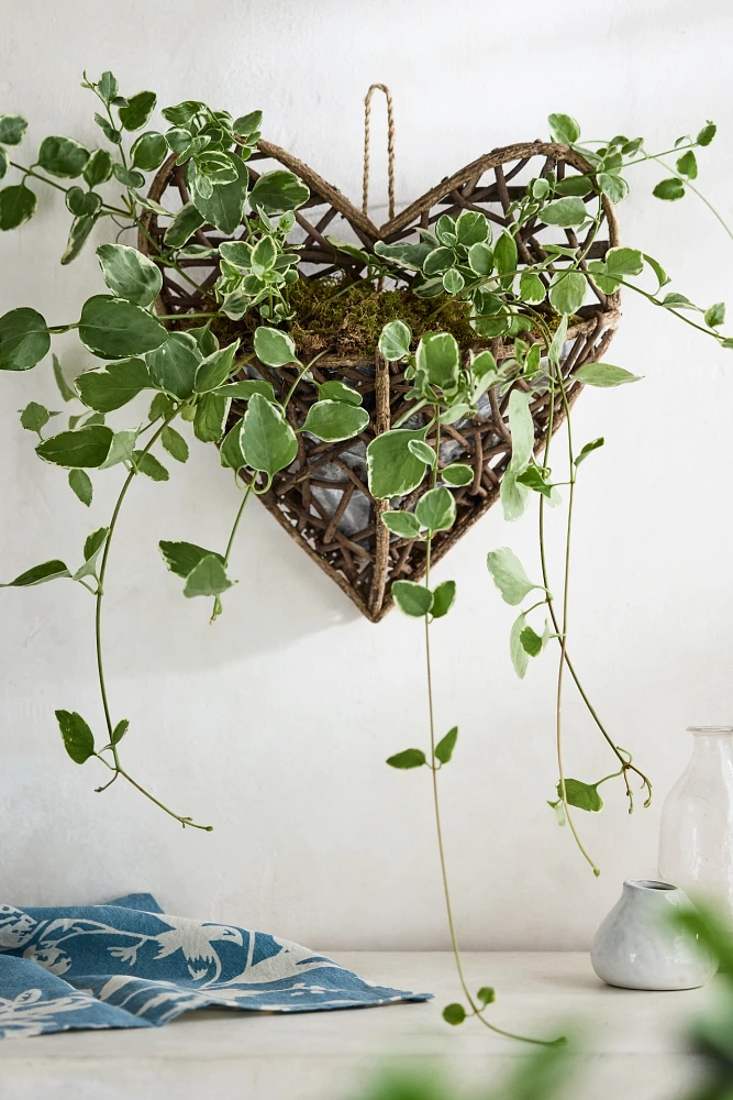 Hanging Twig Heart Planter