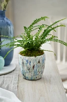 Crackle Taper Ceramic Pot