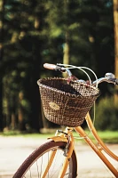 Nantucket Bike Basket Co. Lightship Oval