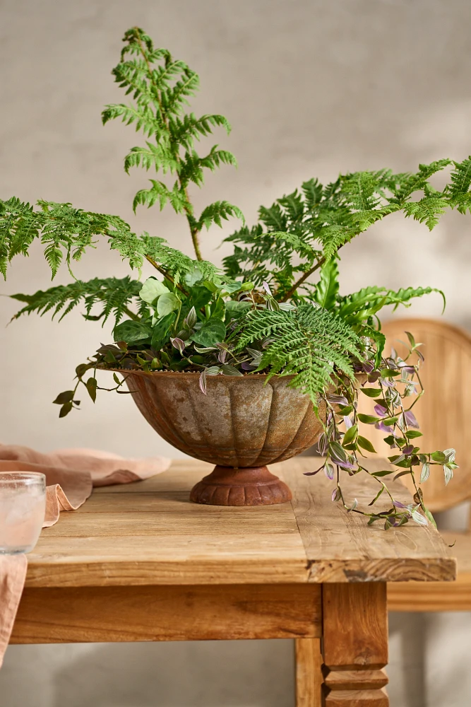 Antiqued Iron Low Urn Planter