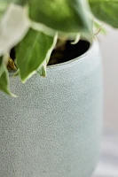 Footed Cylinder Terracotta Planter