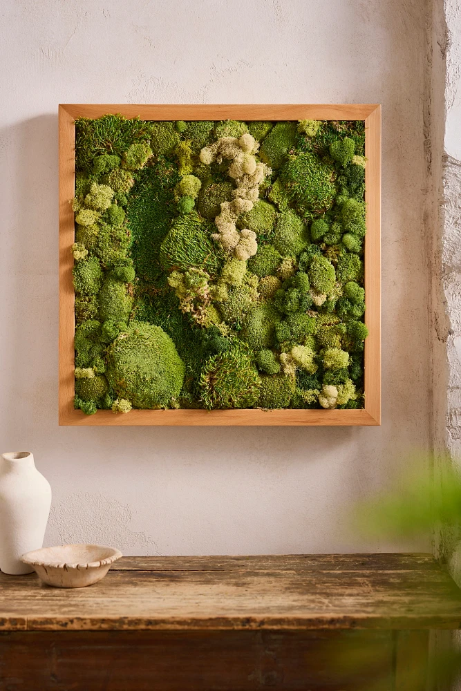 Old Growth Preserved Moss Frame