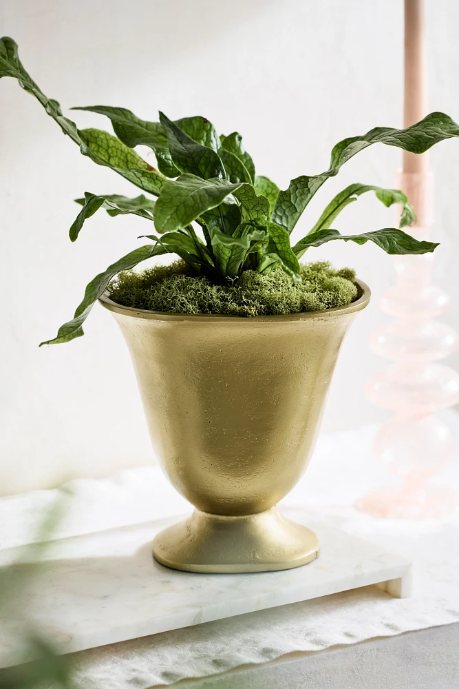 Flared Golden Urn Planter