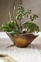 Burnished Petal Bowl Planter