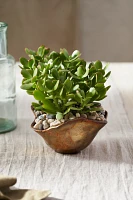 Burnished Petal Bowl Planter