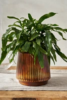 Burnished Ridge Planter