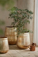 Weathered Gold Iron Planter